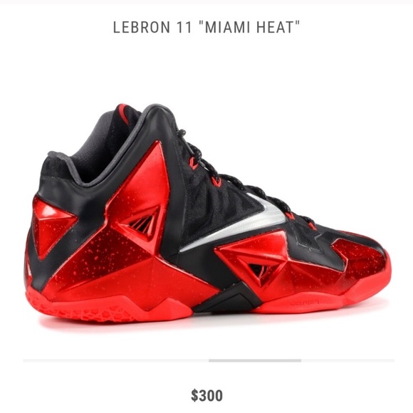 lebron heat shoes